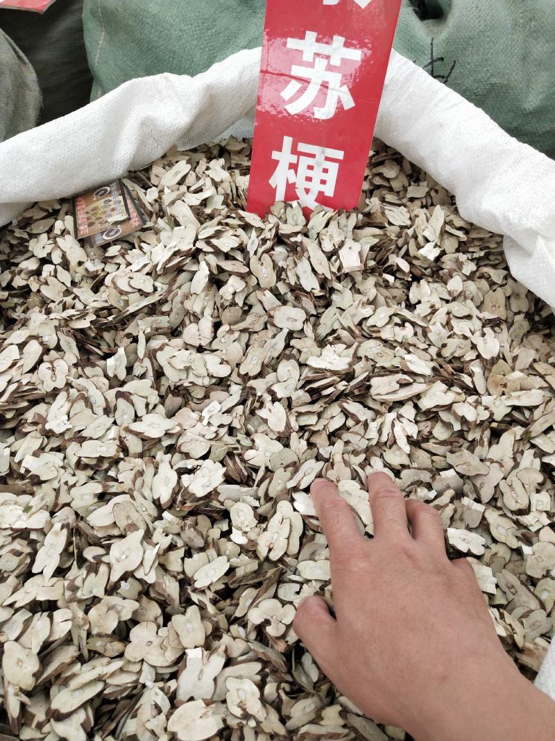 紫苏梗紫苏片苏梗片全检紫苏梗片