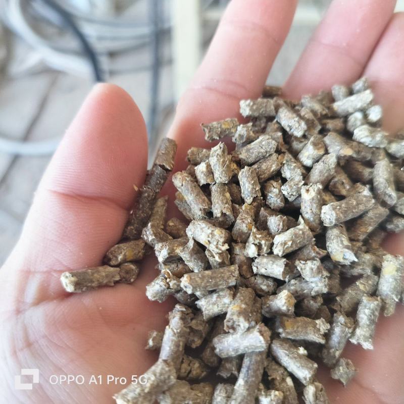 鹅专用料