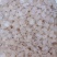 雪燕不同规格