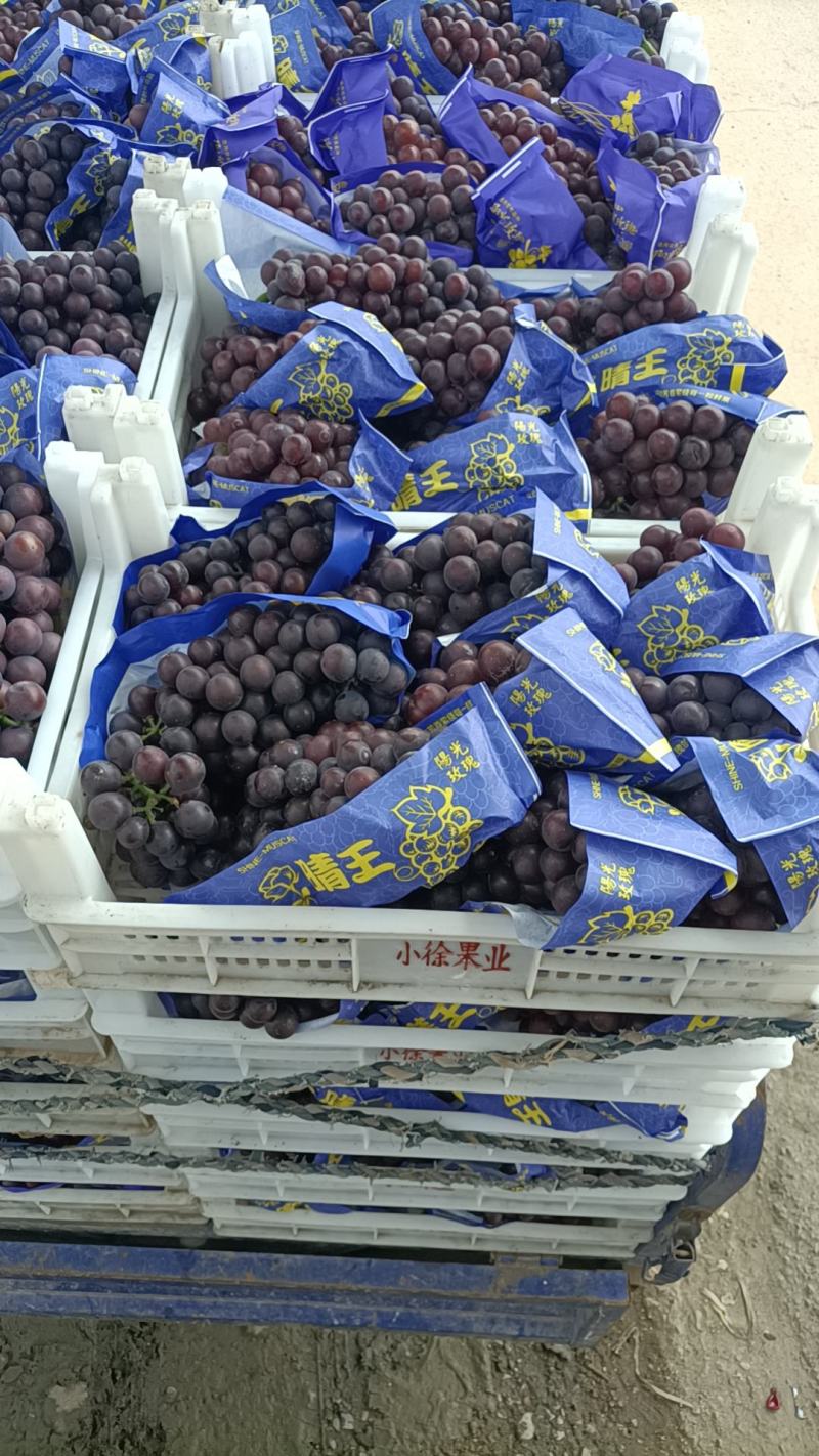 黑巨峰