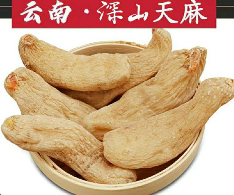 正宗云南昭通天麻自然晒干品质保证干货包邮