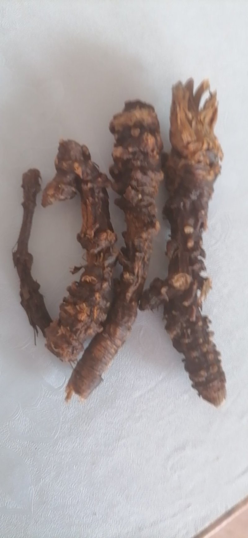 缠丝羌活，干品统货，无虫蛀，无腐烂，无来质，有需要联系。