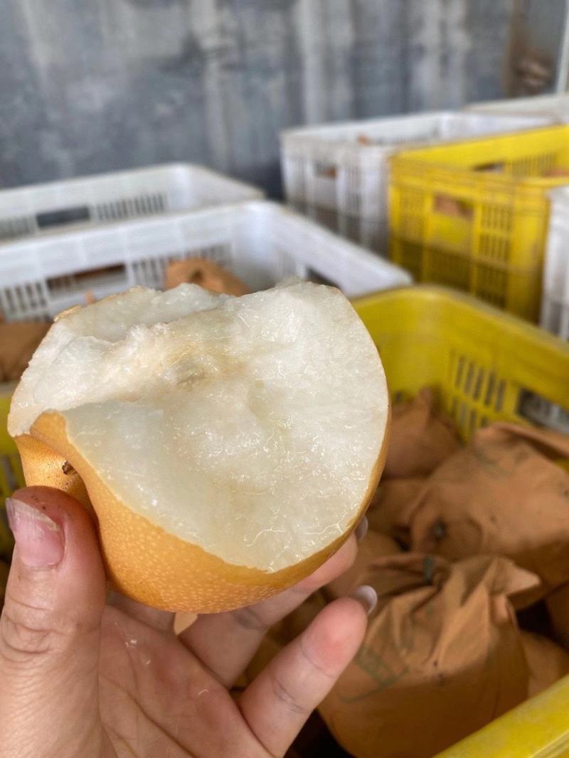 秋月梨电商一件代发山东烟台莱阳中通顺丰对接直播全渠道代发