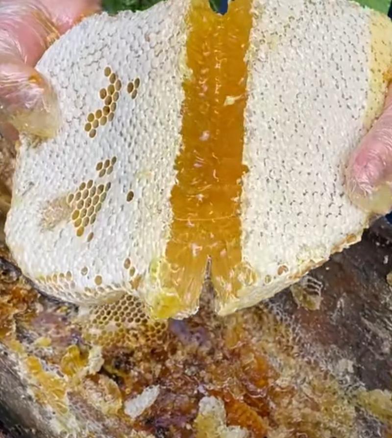 精品农家【土蜂蜜】大量现货品质好价格优惠可视频看货