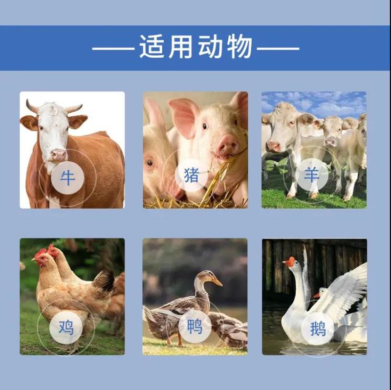 驱虫药