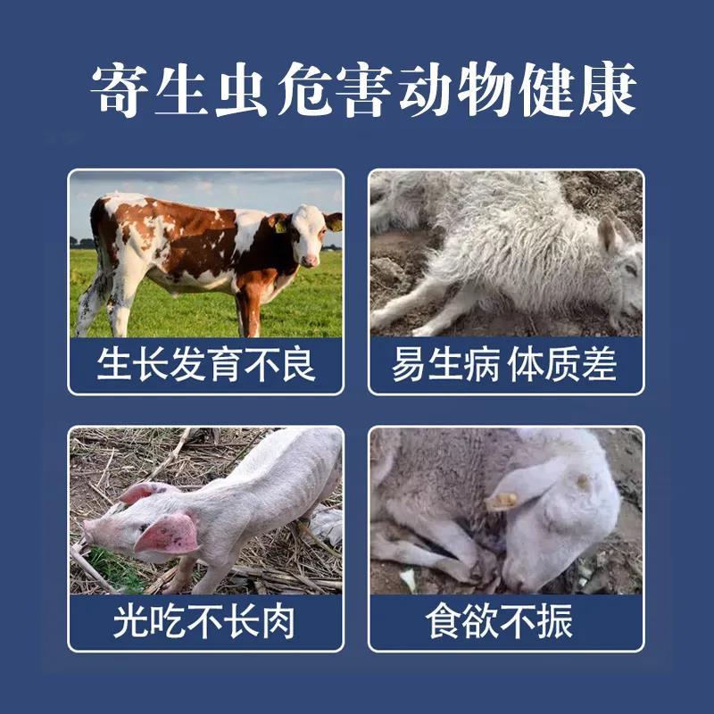 驱虫药