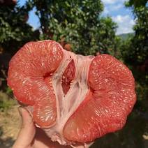 【推荐】红心蜜柚精品三红柚产地直发质量保证量大从优