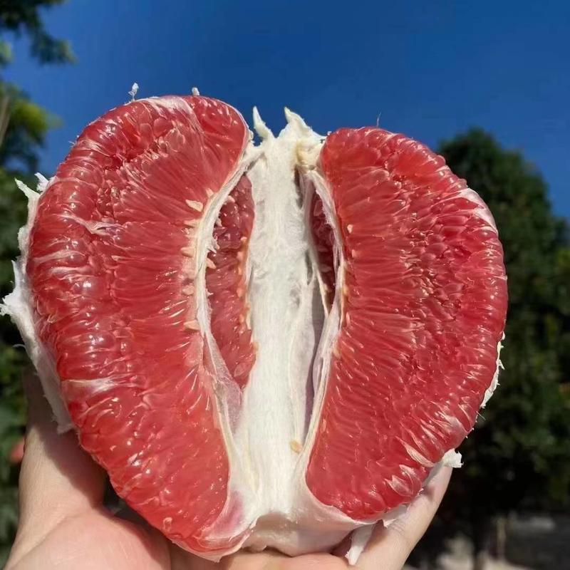 【推荐】红心蜜柚精品三红柚产地直发质量保证量大从优