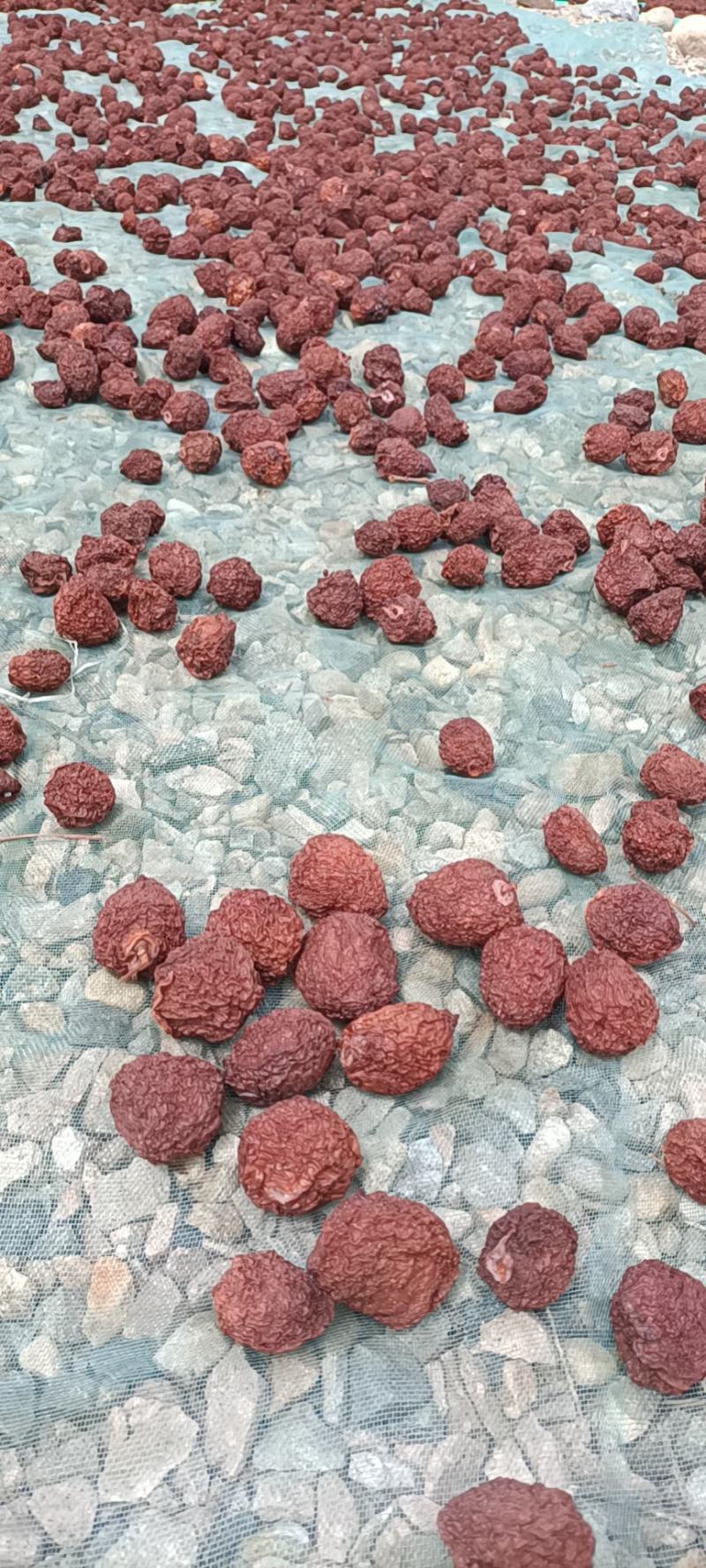 福安李干福建特产芙蓉李干奈酸甜零食原味李子干网红果脯休闲