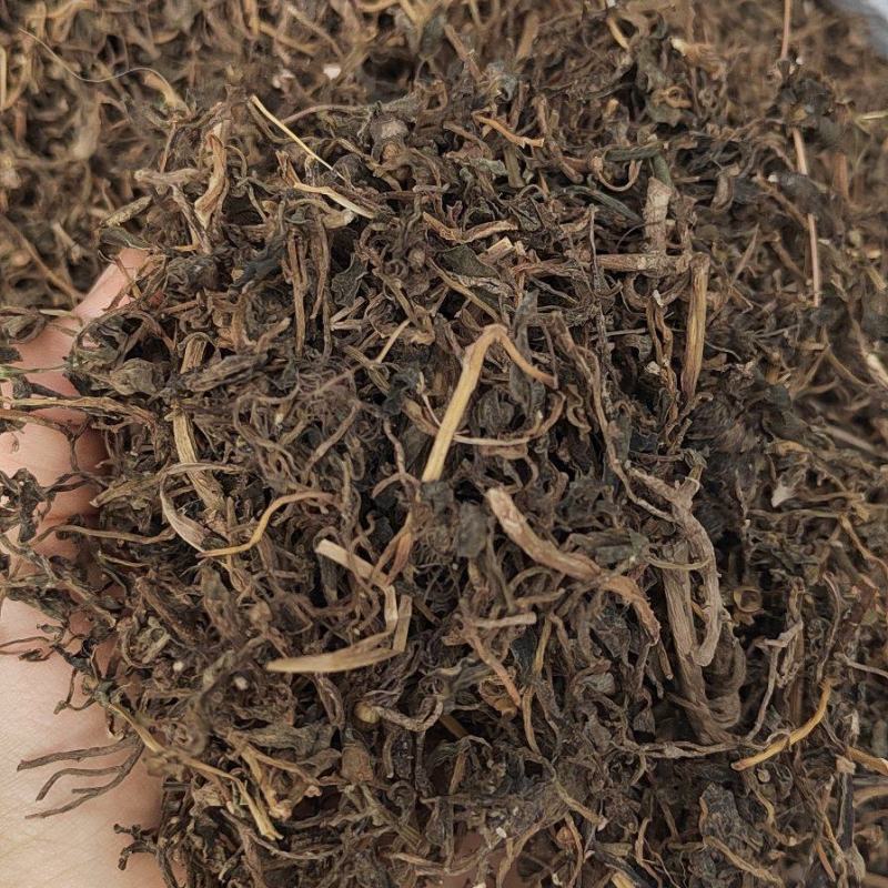 马齿笕，中药材干净无杂质，新货纯干，马峰菜，野生中药