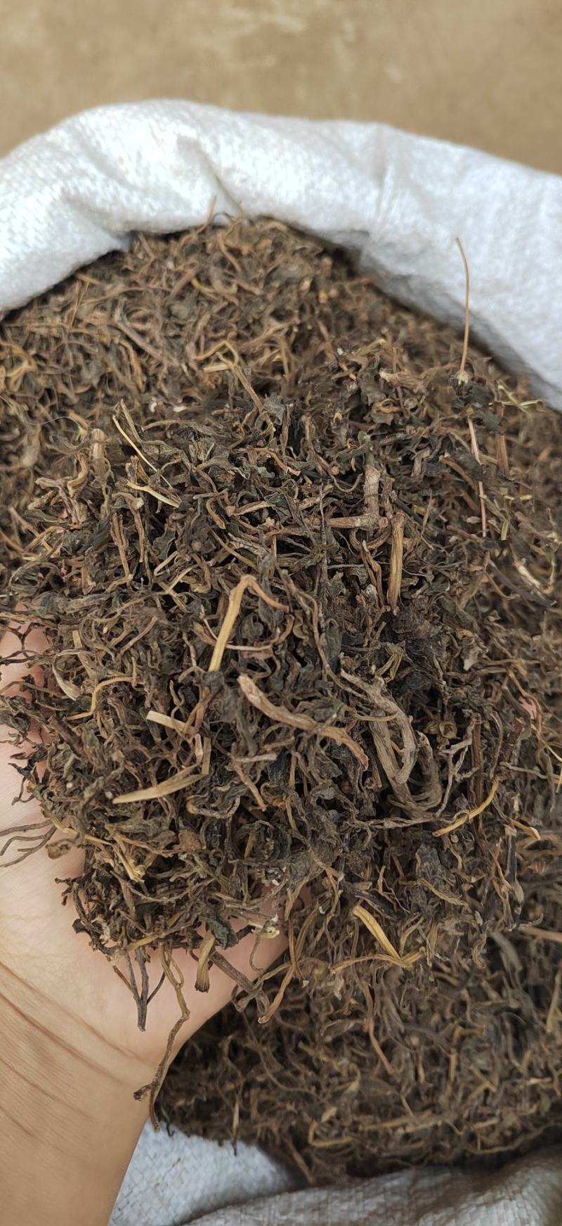 马齿笕，中药材干净无杂质，新货纯干，马峰菜，野生中药