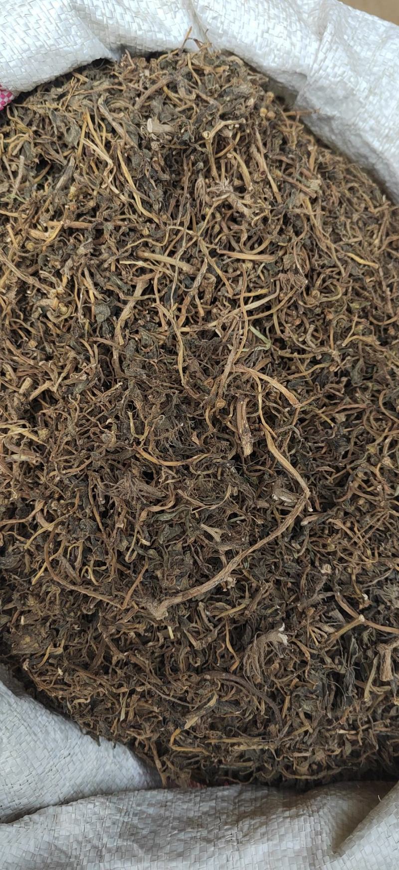 马齿笕，中药材干净无杂质，新货纯干，马峰菜，野生中药