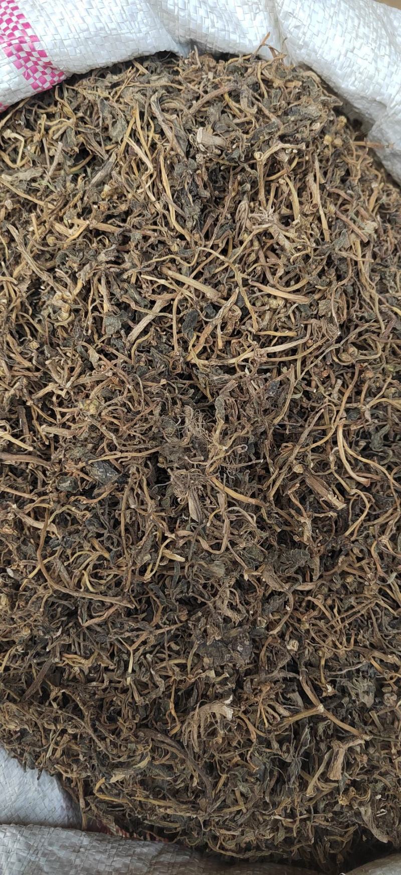 马齿笕，中药材干净无杂质，新货纯干，马峰菜，野生中药