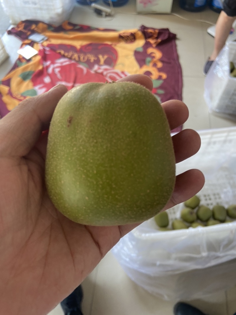 精品苍溪红心猕猴桃产地直发价格真实欢迎选购