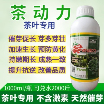 茶叶茶树专用叶面肥催芽剂芽多芽壮防冻促长增产增厚爆芽肥料