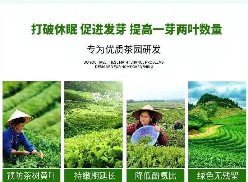 茶叶茶树专用叶面肥催芽剂芽多芽壮防冻促长增产增厚爆芽肥料