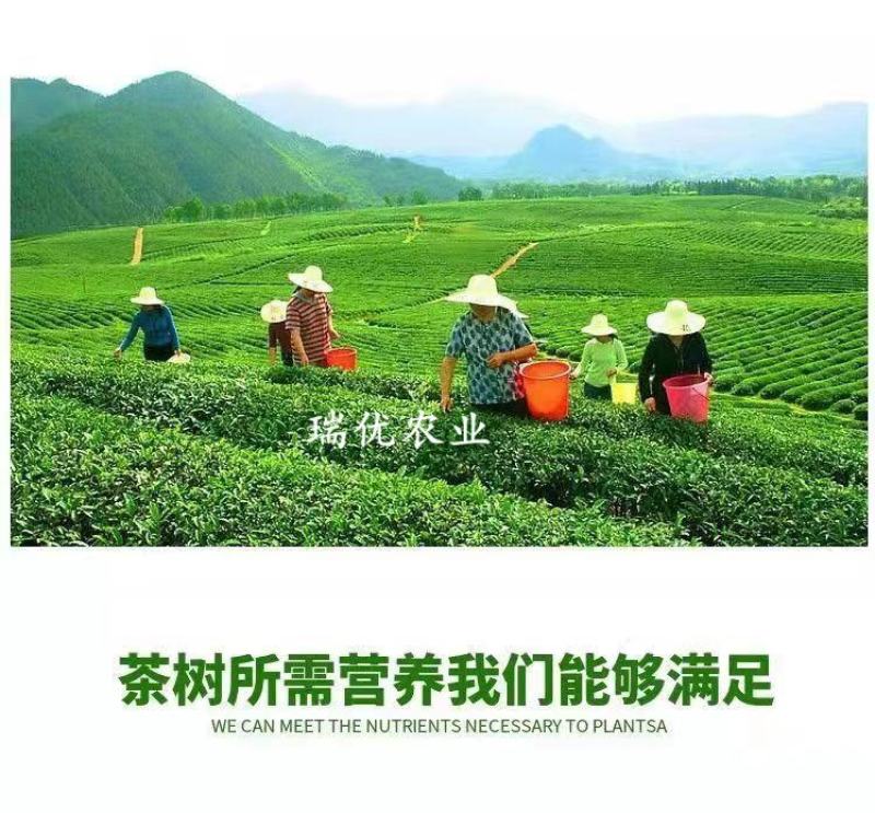 茶叶茶树专用叶面肥催芽剂芽多芽壮防冻促长增产增厚爆芽肥料