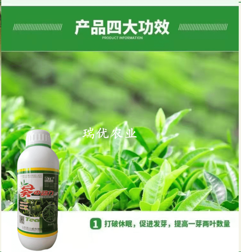 茶叶茶树专用叶面肥催芽剂芽多芽壮防冻促长增产增厚爆芽肥料