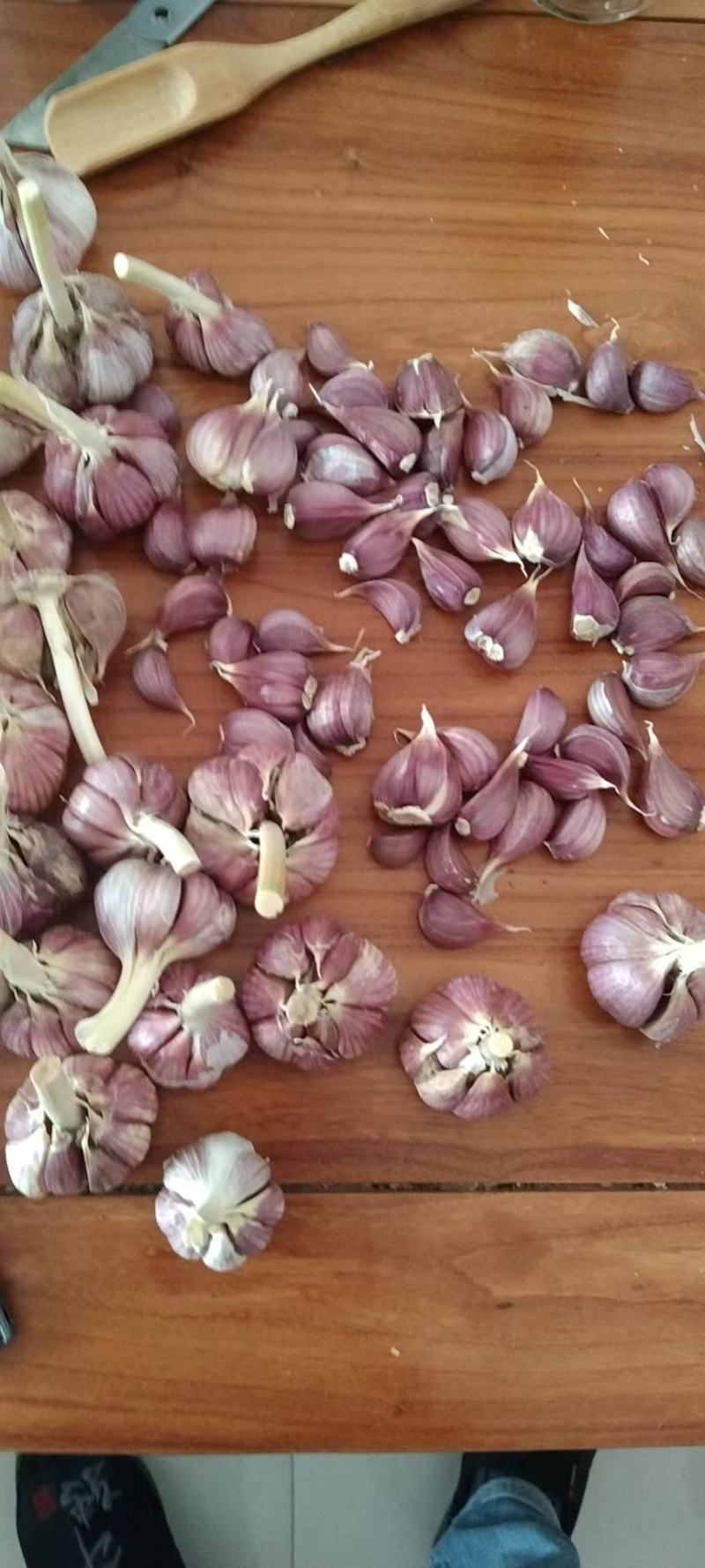 精品川蒜红根蒜苗蒜头种子【紫皮蒜】大量供货代发全国欢迎咨