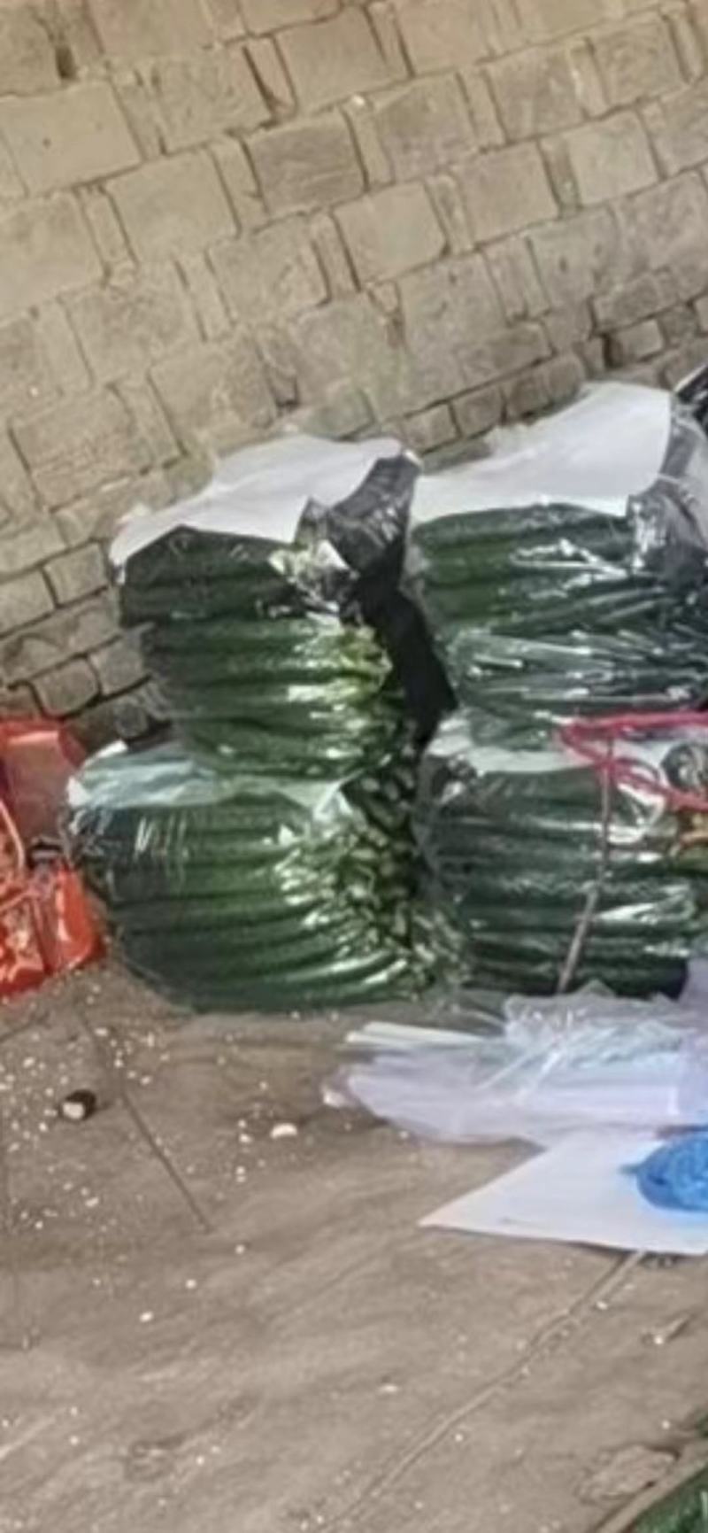 密刺黄瓜一级量大