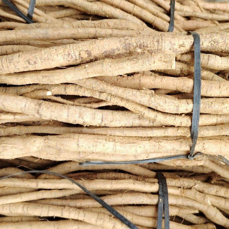牛大力牛大力牛大力