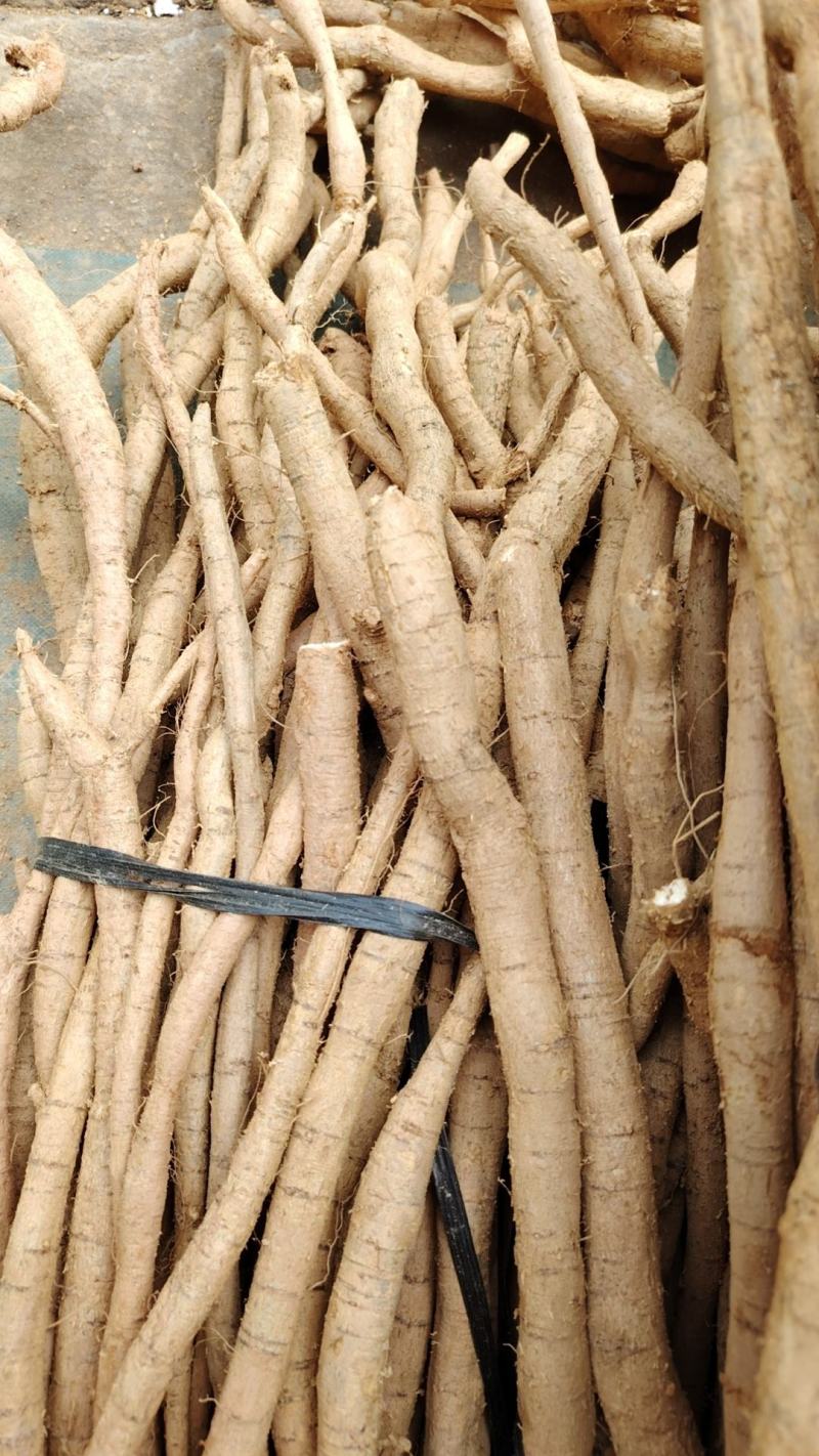 牛大力牛大力牛大力
