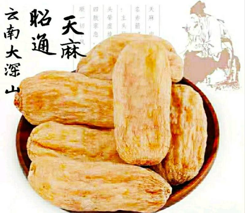 云南昭通野生天麻原色原味泡茶炖汤干货包邮