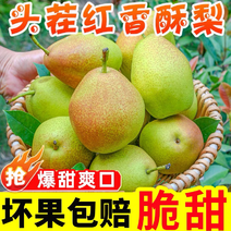 红香酥梨梨子新鲜水果当应季整箱香梨包邮应季5斤青雪酥梨
