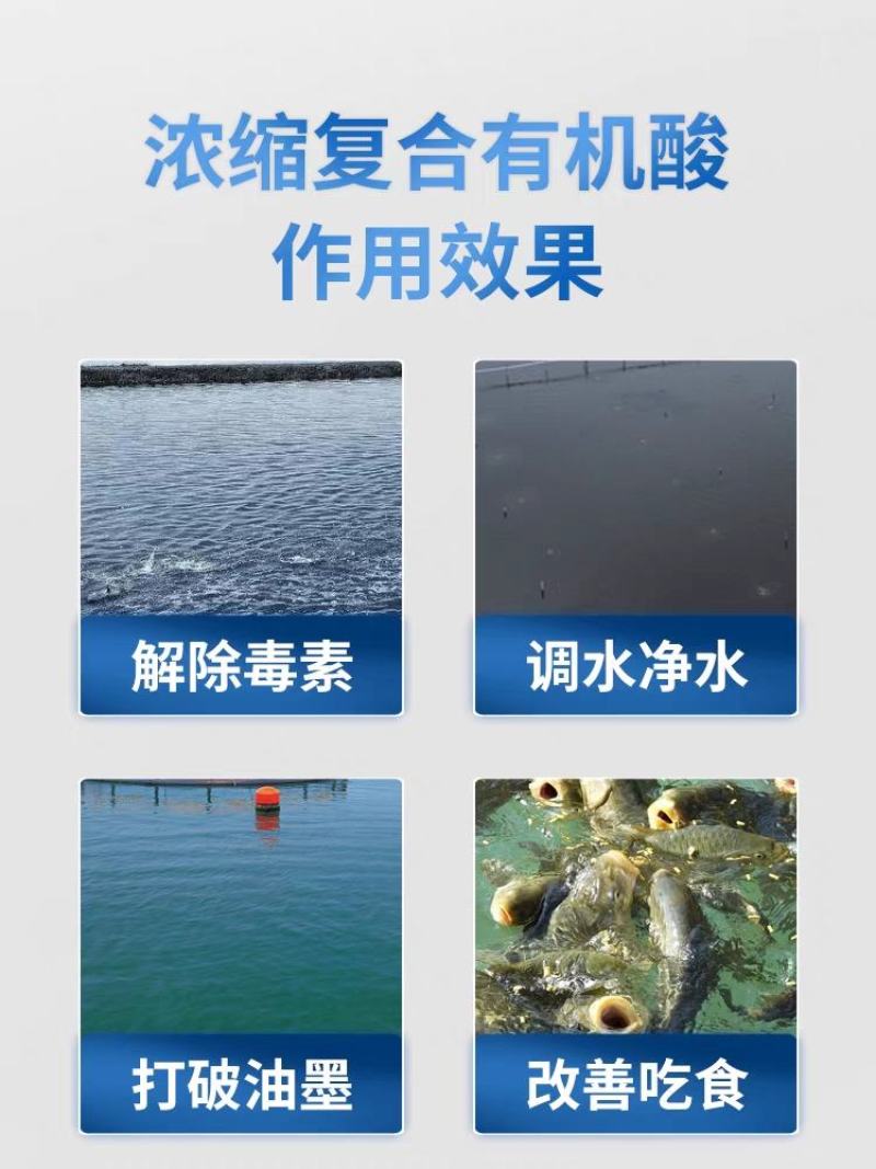 有机酸解毒水产养殖池塘水质净化碧水安降解PH亚盐氨氮速降