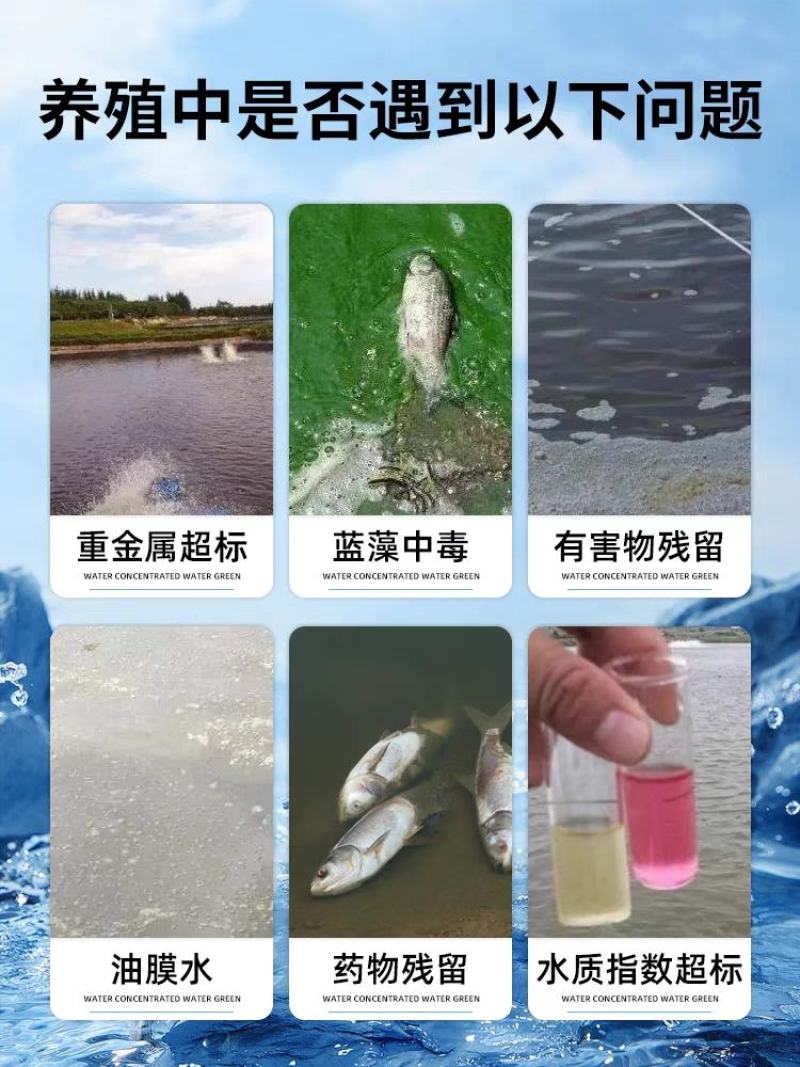 有机酸解毒水产养殖池塘水质净化碧水安降解PH亚盐氨氮速降