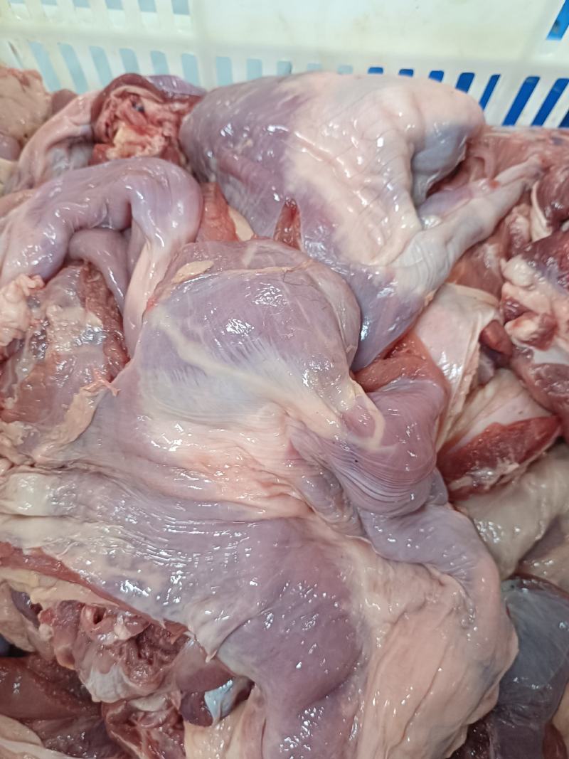 羊腿肉14一斤大量现货支持样品全国发货