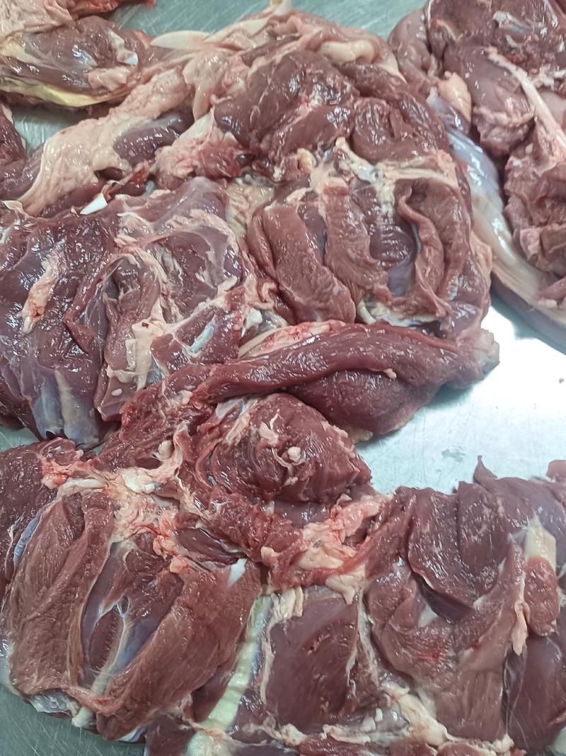 羊腿肉14一斤大量现货支持样品全国发货
