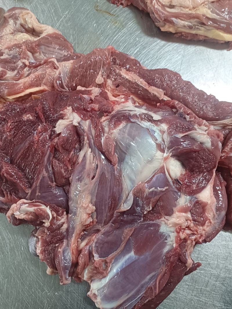 羊腿肉14一斤大量现货支持样品全国发货