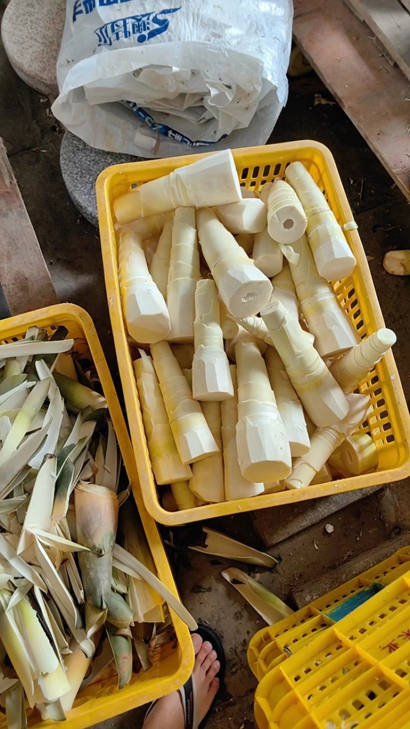 酸笋，大量供应