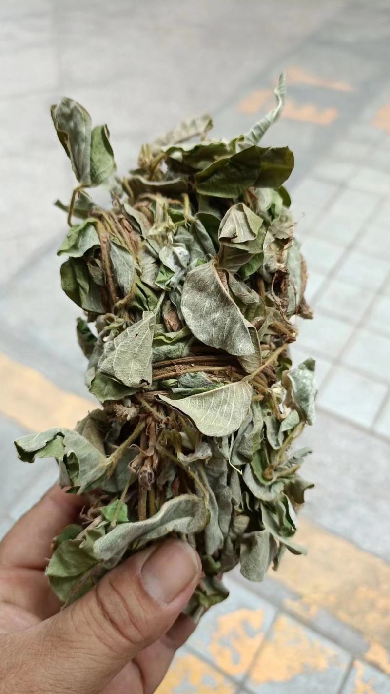 金钱草新货扎把切好量大优惠，全国发货