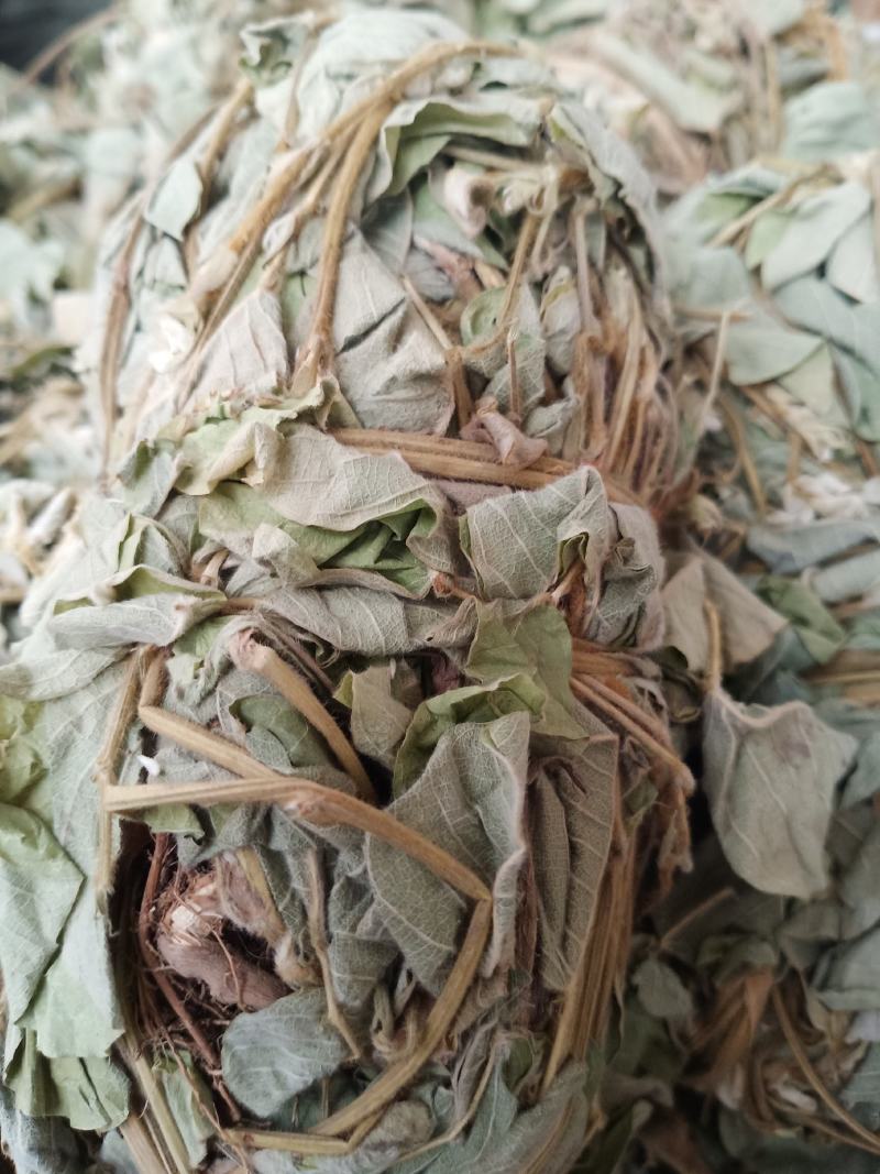 金钱草新货扎把切好量大优惠，全国发货