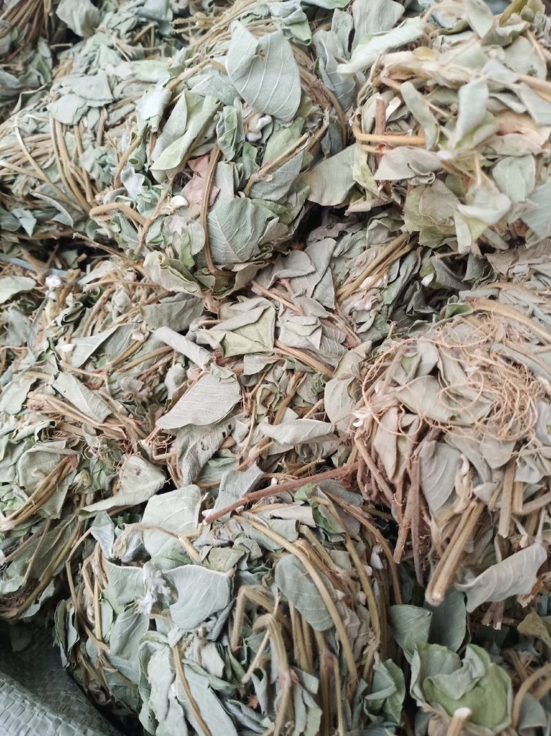 金钱草新货扎把切好量大优惠，全国发货