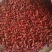 工业辣椒干辣椒和新鲜的都有，量大欢迎咨询