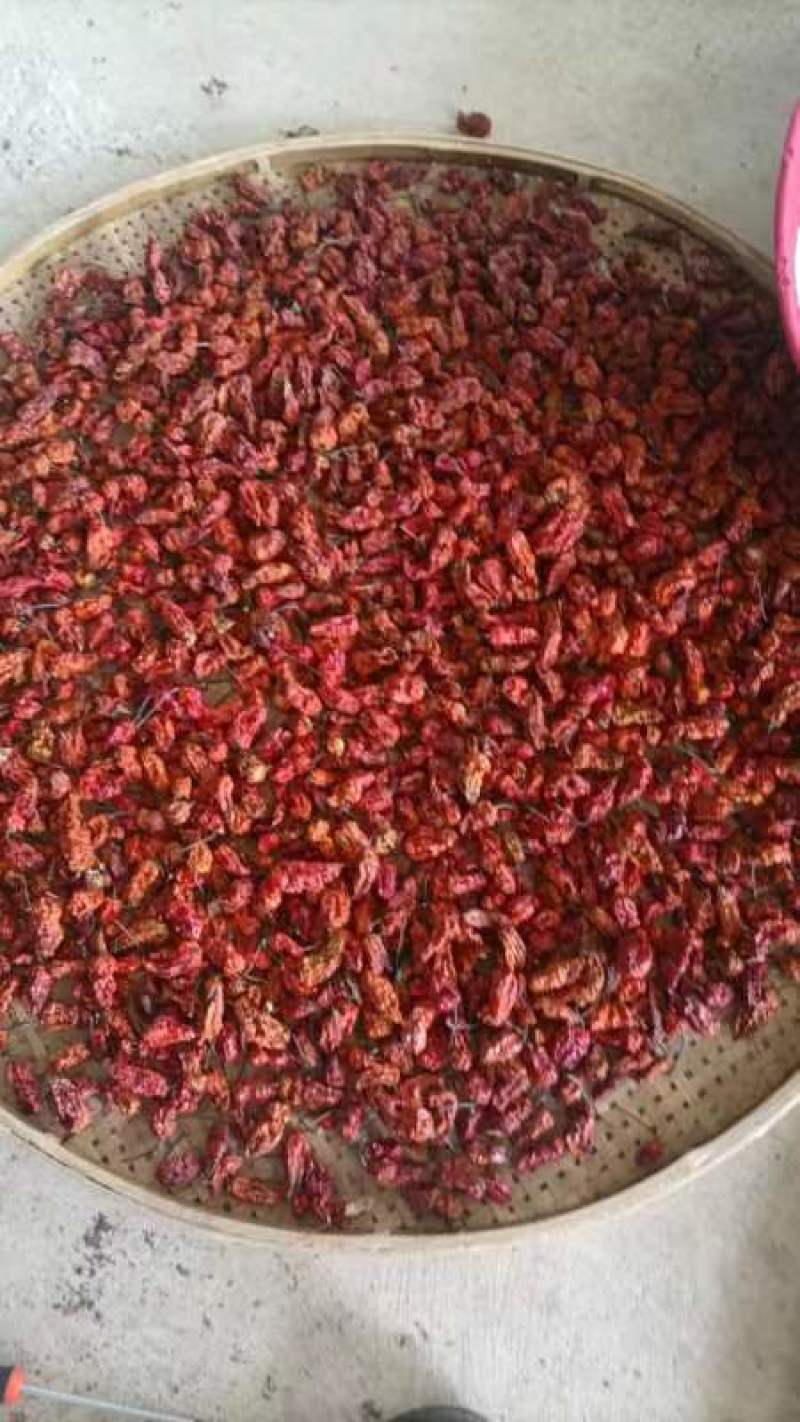 工业辣椒干辣椒和新鲜的都有，量大欢迎咨询