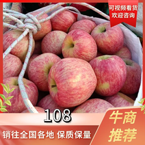 昭通108冰糖心丑苹果华硕新世纪红露苹果大量有货