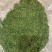 2025年新季AD欧芹，烘干平叶欧芹意大利芹正式开始供应