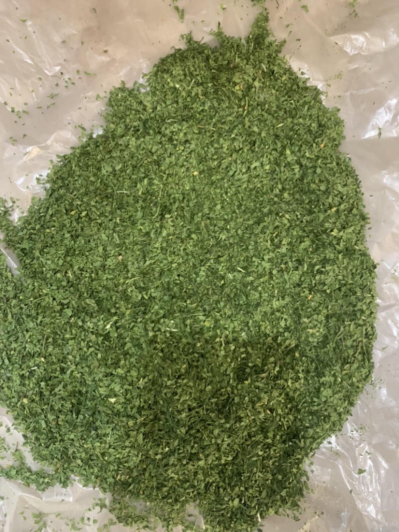 2025年新季AD欧芹，烘干平叶欧芹意大利芹正式开始供应