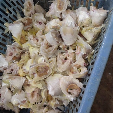 嘉州鲈下巴