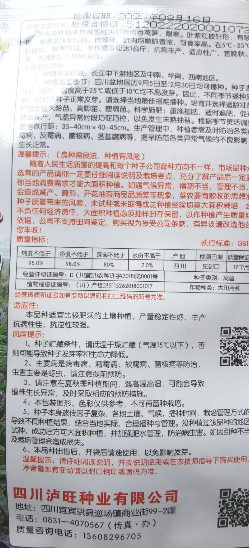 莴笋种子一品红剑高桩型清香脆嫩耐寒高品质红尖叶香笋