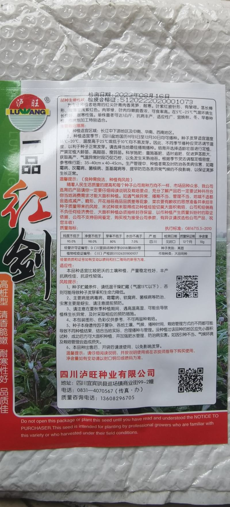 莴笋种子一品红剑高桩型清香脆嫩耐寒高品质红尖叶香笋