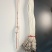 牛笼头/马具