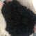 【精品】发酵生物猪粪有机肥养殖场直供欢迎订购