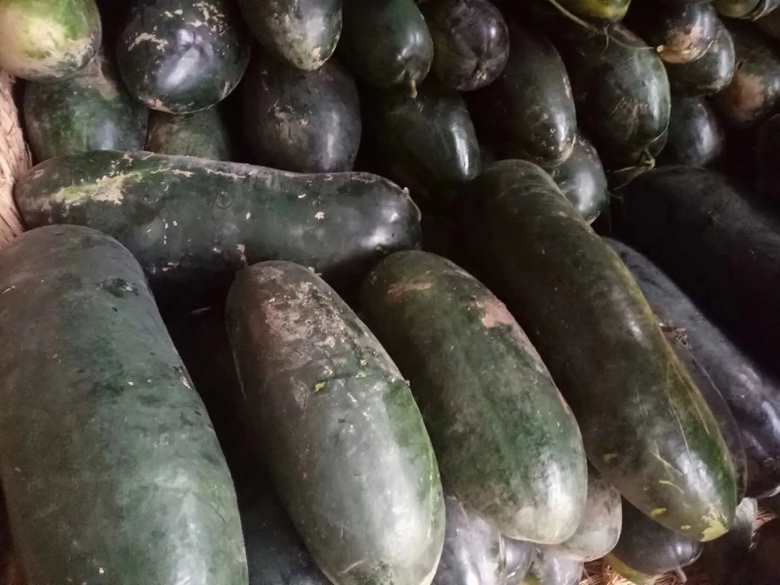 冬瓜切面展示其果肉状态