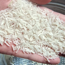 23年野香优莉丝，现在晚稻了，品质不错。稻谷。