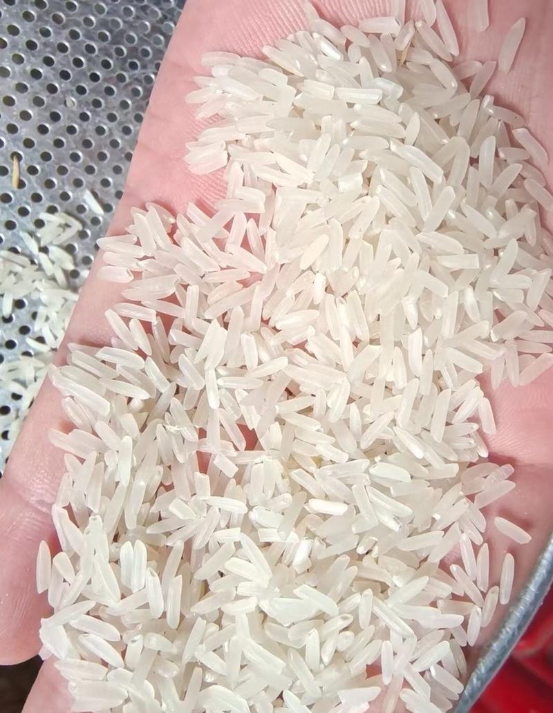 23年野香优莉丝，现在晚稻了，品质不错。稻谷！